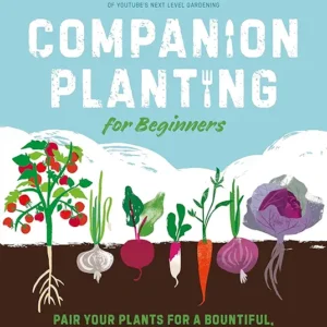 Companion Planting for Beginners